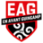 ЕА Гингам