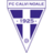Calvi Noale