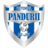 Viitorul Pandurii Targu Jiu